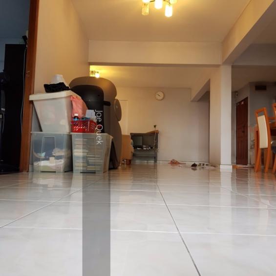 Blk 106 Spottiswoode Park Road (Bukit Merah), HDB 5 Rooms #129470082